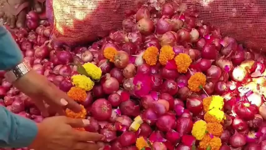 शाजापुर: शाजापुर मंडी में नए प्याज की मुहूर्त नीलामी, ₹4,001 प्रति क्विंटल तक पहुंचा भाव