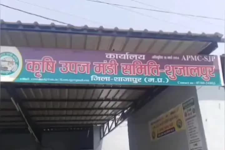 शुजालपुर: शुजालपुर मंडी में 15,720 क्विंटल कृषि उपज की आवक, सर्वाधिक आवक सोयाबीन की