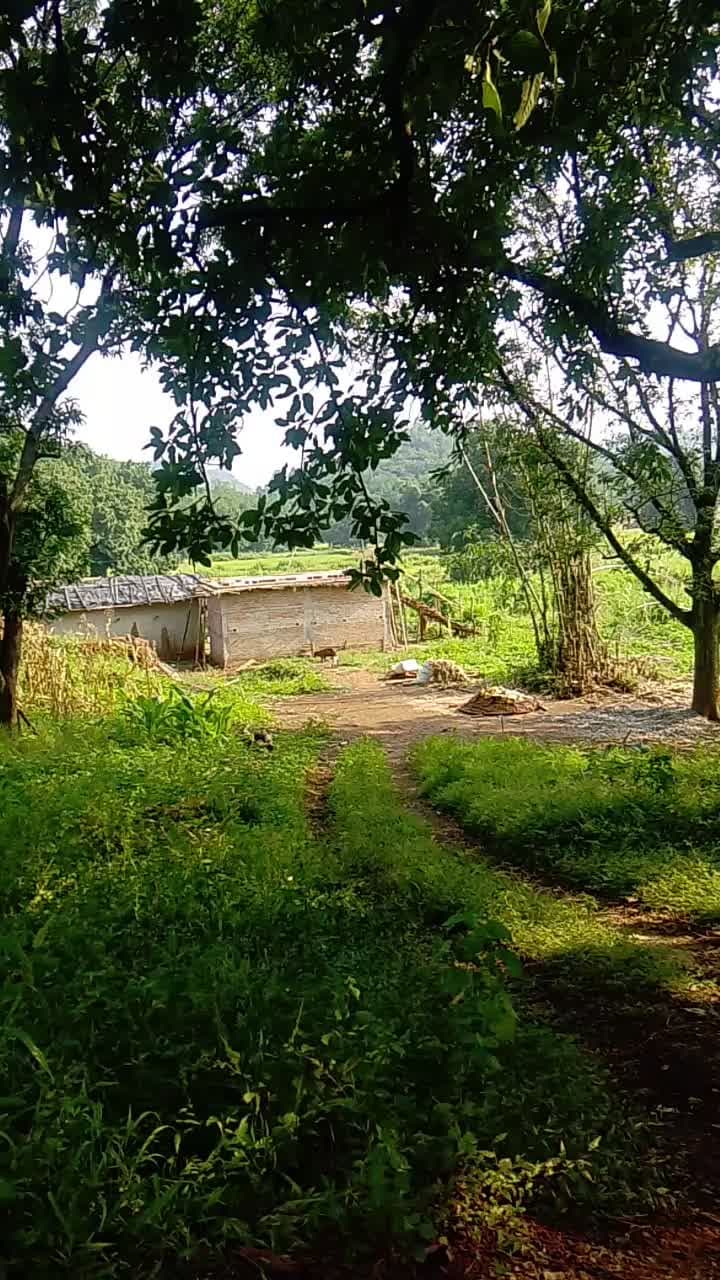 Titahidan Gram panchayat bharari