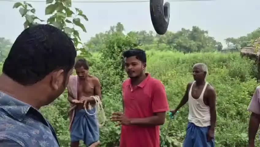 गोड्डा: गोड्डा में हाइड्रा वाहन ने बकरी को मारी टक्कर, चालक भागने लगा तो ग्रामीणों ने पीछा कर दबोचा