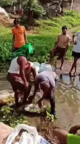 Tarapur Khaira panchayat Mohammadpur