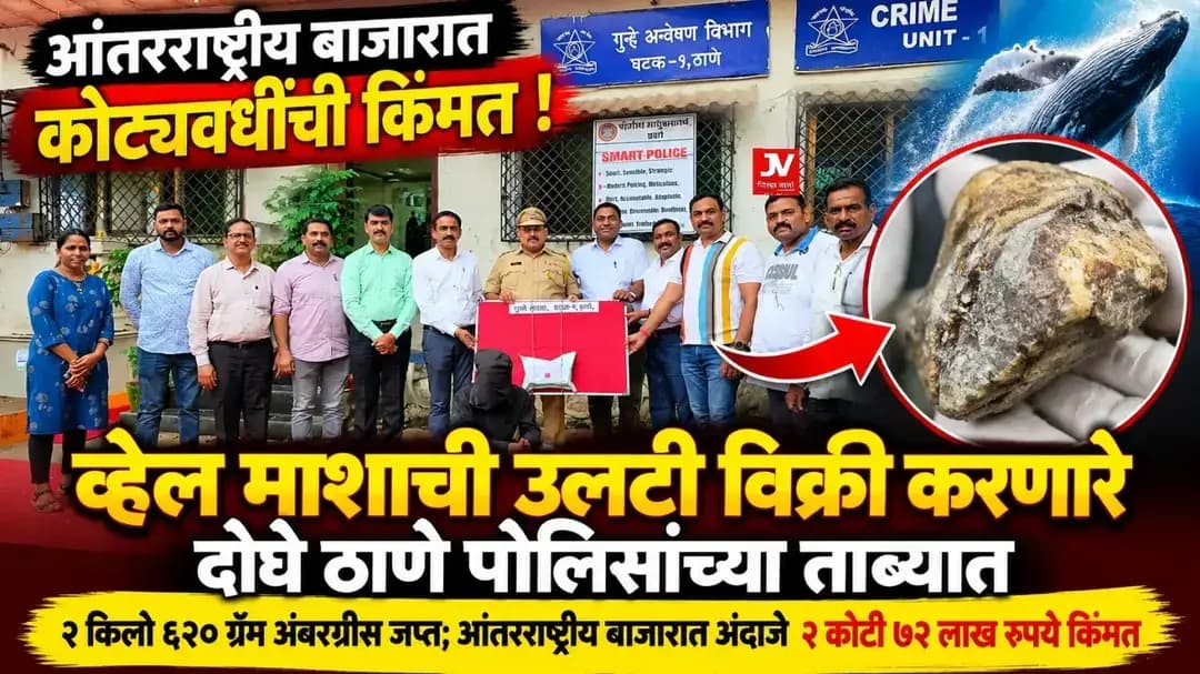 आंतरराष्ट्रीय बाजारात कोट्यवधींची किंमत असलेली व्हेल माशाची उलटी विक्री करणारे दोघे ठाणे पोलिसांच्या ताब्यात
२ किलो ६२० ग्रॅम अंबरग्रीस जप्त; आंतरराष्ट्रीय बाजारात अंदाजे २ कोटी ७२ लाख रुपये किंमत
ठाणे : आंतरराष्ट्रीय बाजारात मोठी मागणी असलेल्या आणि कोट्यवधी रुपयांची किंमत असलेल्या व्हेल माशाच्या उलटीची (Ambergris) विक्री करण्यासाठी आलेल्या दोघांना ठाणे पोलिसांच्या गुन्हे शाखेने सापळा रचून ताब्यात घेतले आहे. या कारवाईत पोलिसांनी तब्बल २ किलो ६२० ग्रॅम वजनाचे अंबरग्रीस जप्त केले असून, त्याची आंतरराष्ट्रीय बाजारातील अंदाजे किंमत २ कोटी ७२ लाख रुपये असल्याचे पोलिसांनी सांगितले.
गुन्हे शाखा, घटक-१, ठाणे येथील पोलिसांना मिळालेल्या बातमीच्या आधारे वरिष्ठ पोलीस निरीक्षक अनिल शिंदे यांच्या मार्गदर्शनाखाली ५ ऑक्टोबर रोजी रात्रीच्या सुमारास ठाणे पश्चिमेतील जांभळी नाका परिसरातील हायलँड रेसिडेन्सी लॉजजवळ पोलिसांनी सापळा रचला.यावेळी मयूर विश्वास पाटील (रा. कोल्हापूर) आणि मिनाद्री मधुकर मोहिते (रा. सिंधुदुर्ग) हे दोघे संशयास्पदरीत्या आढळून आले. त्यांची झडती घेतली असता त्यांच्याकडे २ किलो ६२० ग्रॅम वजनाची व्हेल माशाची उलटी (Ambergris) आढळून आली.
पोलिसांनी केलेल्या प्राथमिक चौकशीत अंबरग्रीसला आंतरराष्ट्रीय बाजारात मोठी मागणी असल्याचे समोर आले. त्यापासून उच्च दर्जाचे अत्तर तसेच सुगंधी द्रव्ये तयार करण्यासाठी त्याचा वापर केला जातो. त्यामुळे आंतरराष्ट्रीय बाजारात त्याची किंमत मोठी असल्याचे पोलिसांनी नमूद केले आहे.जप्त करण्यात आलेले अंबरग्रीस हे वन्यजीव संरक्षण अधिनियमांतर्गत संरक्षित असून, ते विनापरवाना बाळगणे व विक्री करण्याच्या उद्देशाने ताब्यात ठेवणे बेकायदेशीर आहे. याप्रकरणी ठाणे नगर पोलीस ठाण्यात गुन्हा रजिस्टर क्रमांक २२२/२०२६ अन्वये वन्यजीव संरक्षण अधिनियम १९७२ मधील कलम ३९, ४४, ४८, ४९(ब), ५७, ५१ तसेच भारतीय न्याय संहिता २०२३ मधील कलम ३(५) अन्वये गुन्हा दाखल करण्यात आला आहे.या गुन्ह्याचा पुढील तपास गुन्हे शाखा, घटक-९, ठाणे येथील पोलीस उपनिरीक्षक सुभाष मोरे करीत आहेत.