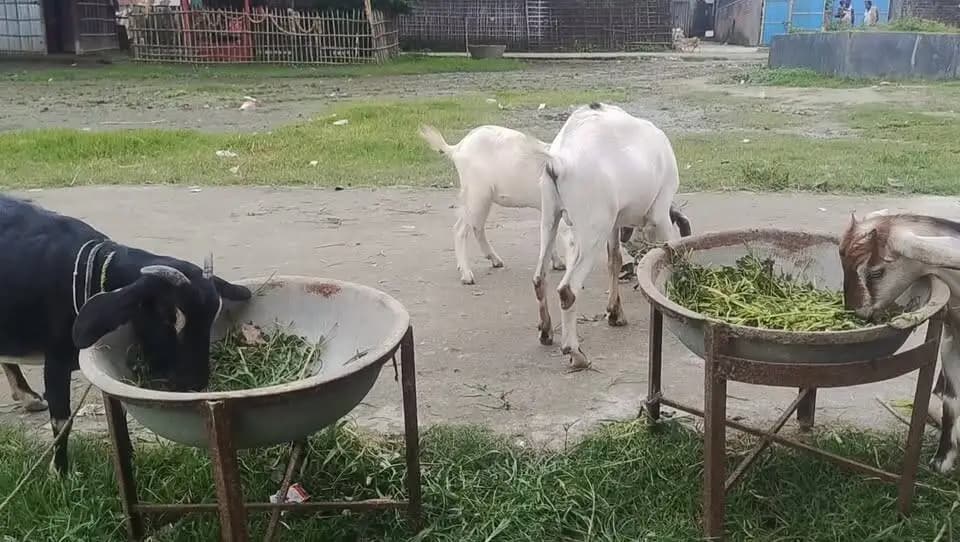 भारत जीविका महिला ग्राम संगठन, हसनगंज कटिहार:-
Information & Public Relations Department, Government of Bihar CMO Bihar Samrat Choudhary Bihar Education Department ICDS Directorate Bihar Department of Agriculture, Government of Bihar CM Samrat Art, Culture and Youth Department, Government of Bihar Jeevika Bihar @topfans JEEVIKA Bihar Katihar Police