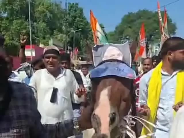 बहराइच: कलेक्ट्रेट पहुंचे कांग्रेसियों ने मुख्य चुनाव आयुक्त के खिलाफ किया अनोखा प्रदर्शन, साथ में लाए गधा और जमकर की नारेबाज़ी