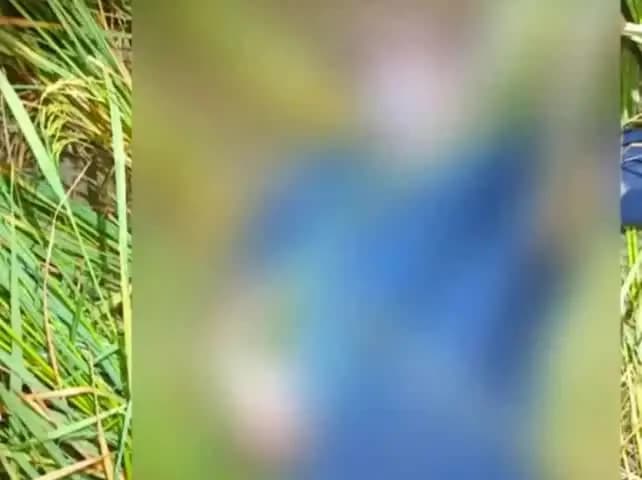 पिंड्रा: पिंडरा विधानसभा में बिजली के तार के चपेट में आने से किसान की मौत