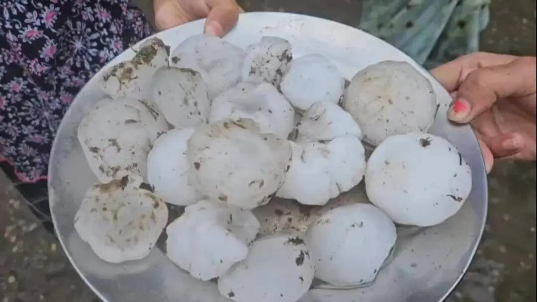 हरिद्वार: हरिद्वार में मूसलाधार बारिश के साथ भीषण ओलावृष्टि, सड़कों पर बिछी सफेद चादर और वाहनों के टूटे शीशे