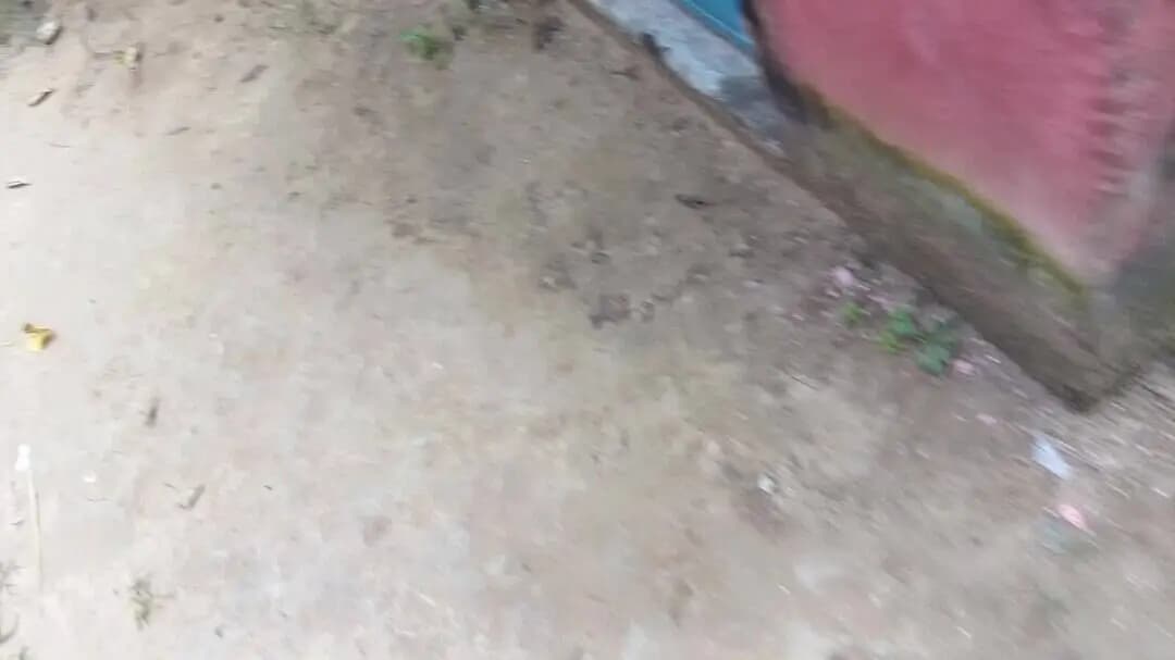 Primiri school Ganga bigha