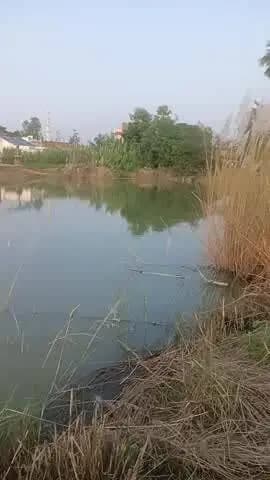 Banda bajar jila santkabir Nagar