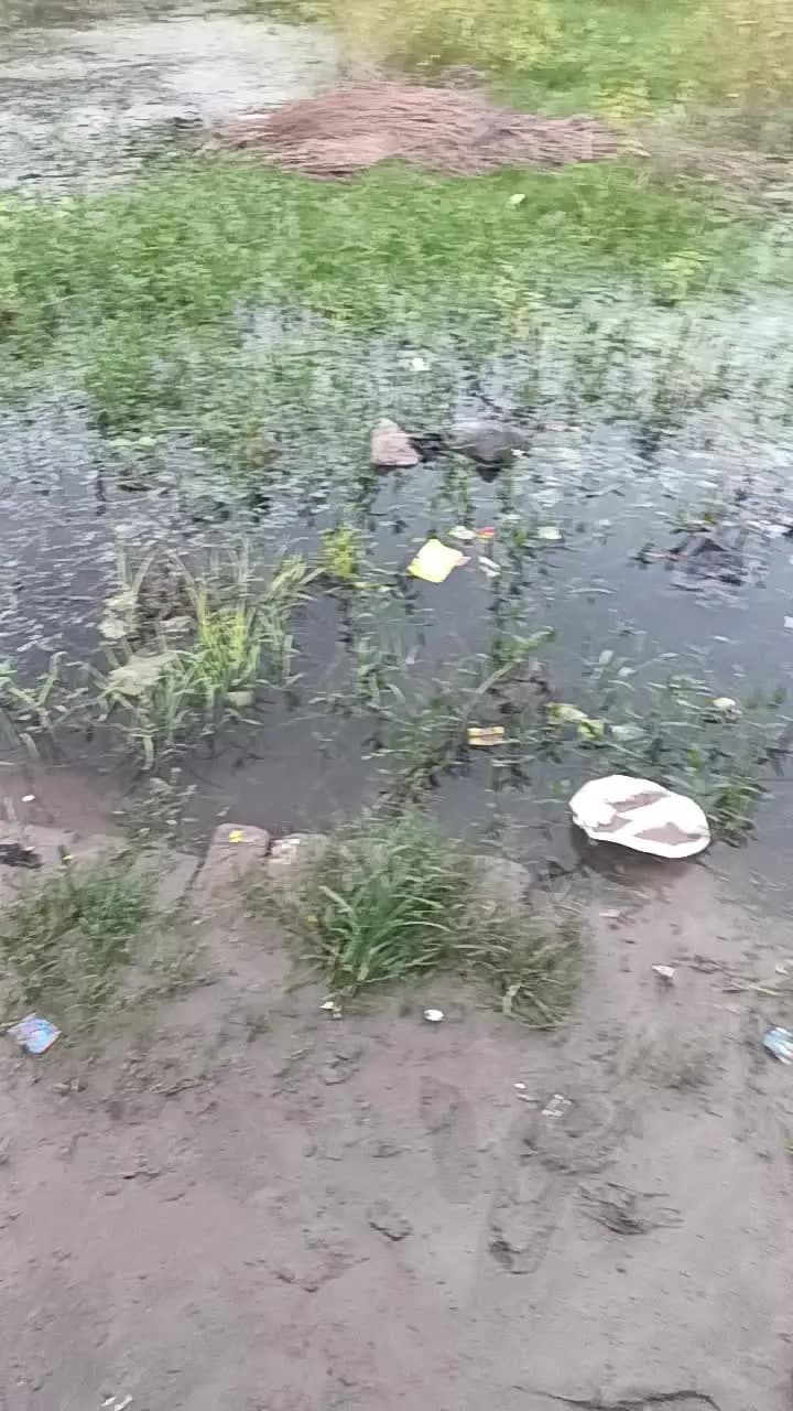 शेरपुर कला नूरगंज मोहल्ला वार्ड नंबर 10