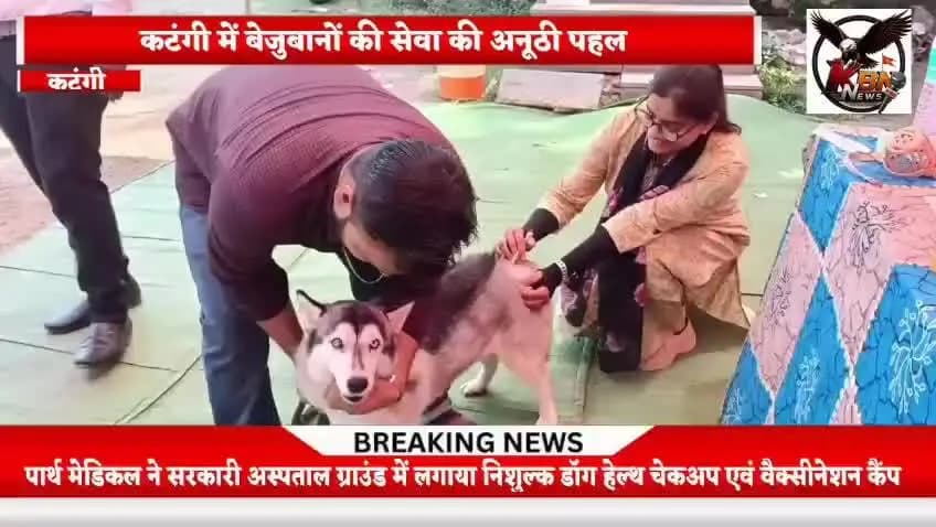 कटंगी में बेजुबानों की सेवा की अनूठी पहल, पार्थ मेडिकल द्वारा लगाया गया,निःशुल्क डॉग हेल्थ चेकअप एवं वैक्सीनेशन कैंप आयो