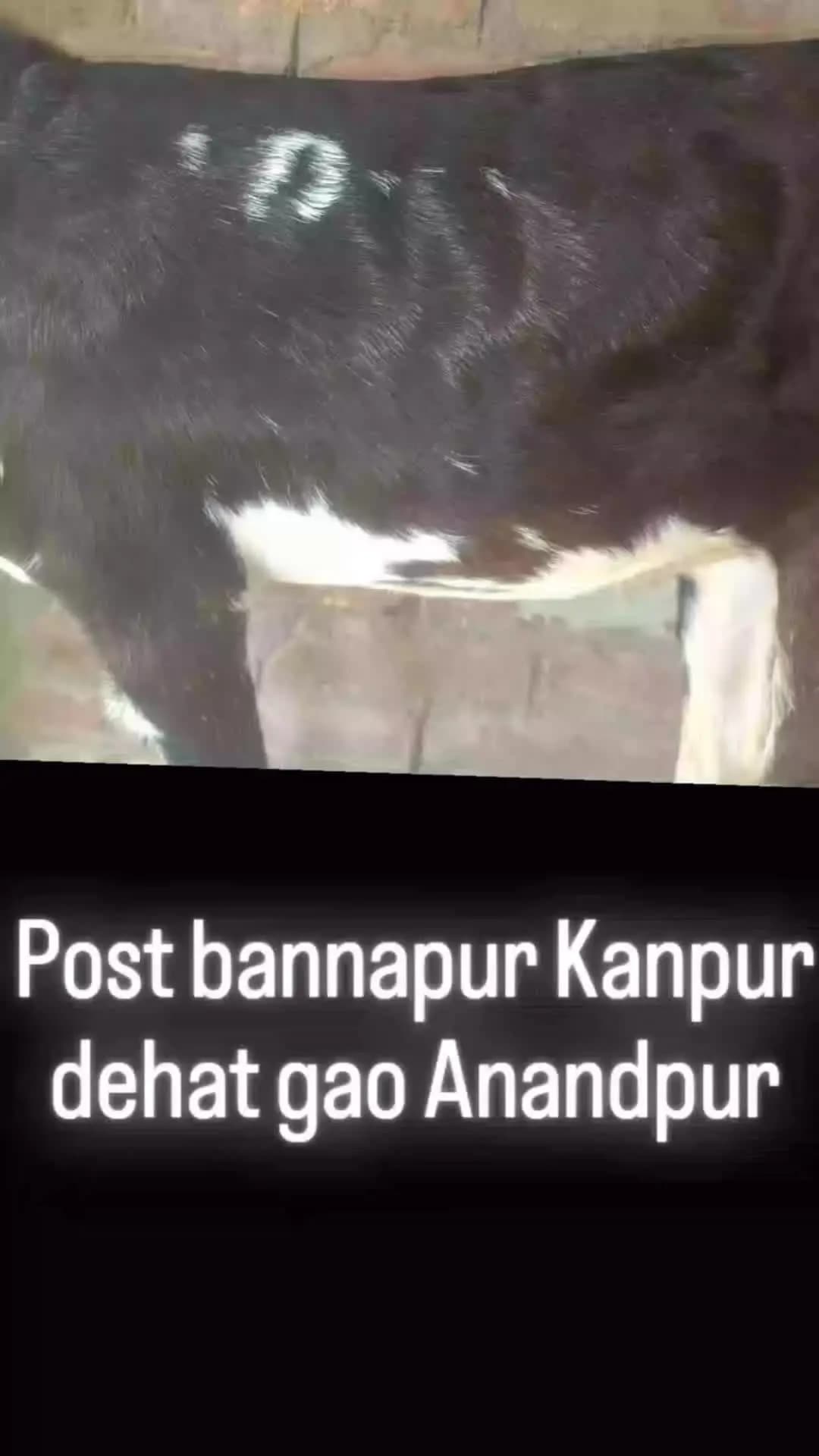 post bannapur Kanpur dehat gao Anandpur