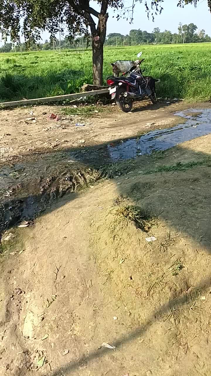 ग्राम पोस्ट एकमा जिला संतकबीरनगर एकमा गांव में सफाई कर्मचारी एक साल नही है और पानी नाली से ऊपटकर बह रहा है रोड पर आने
