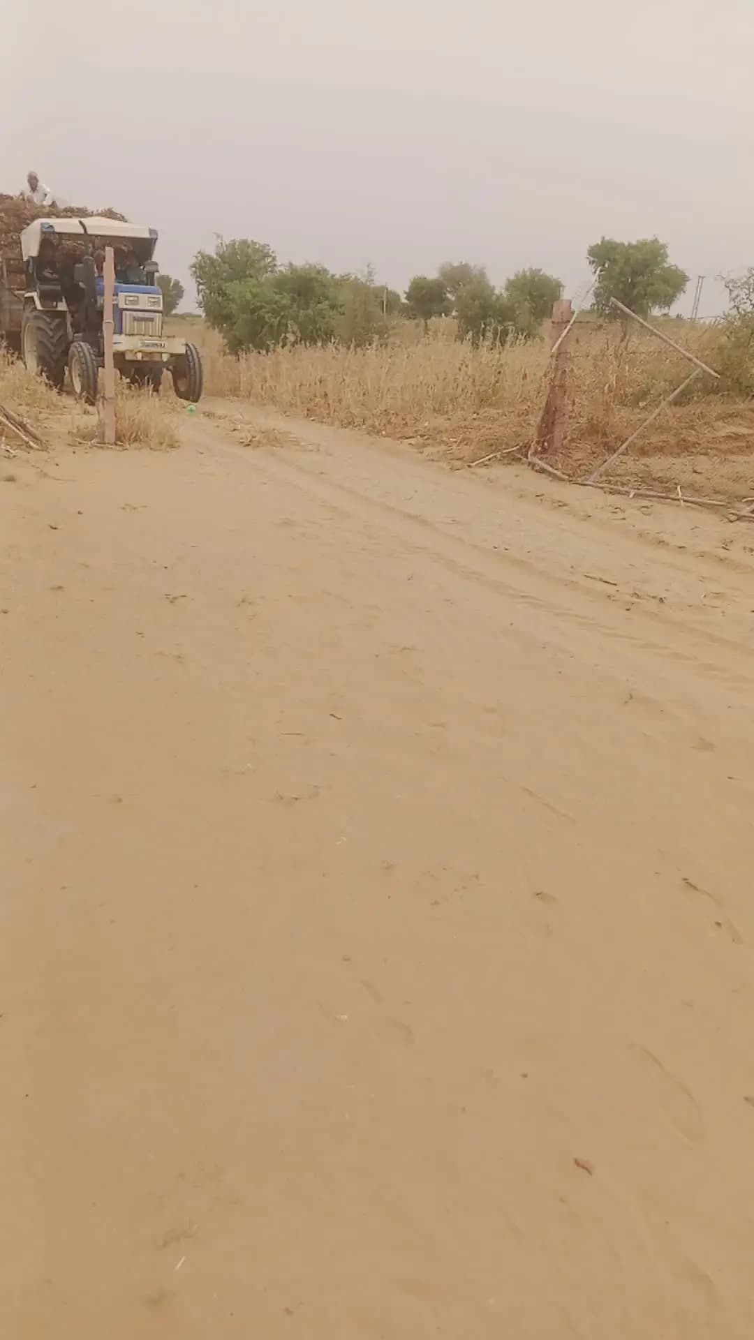 ट्रेक्टर वाला कुत्ते को मार गया