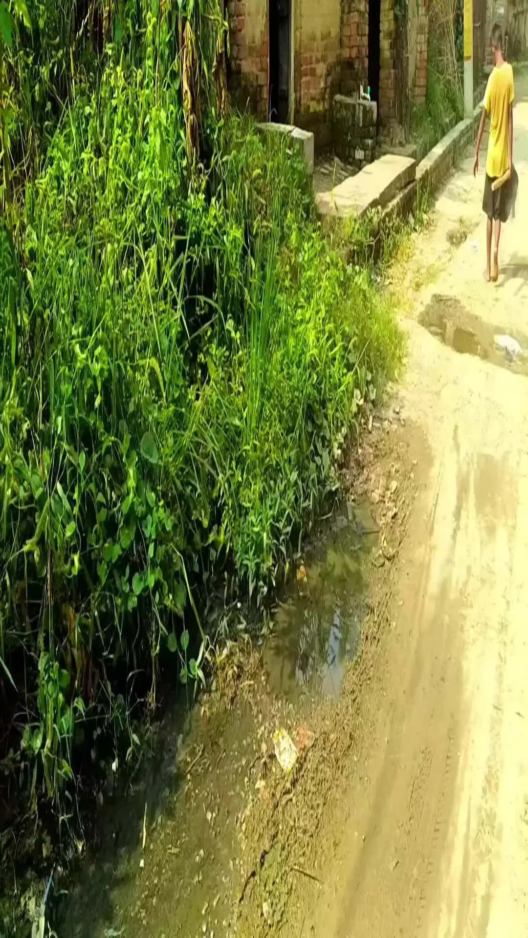 रुईया पोस्ट भेड़िया पंचायत छाँव दुर्गावती