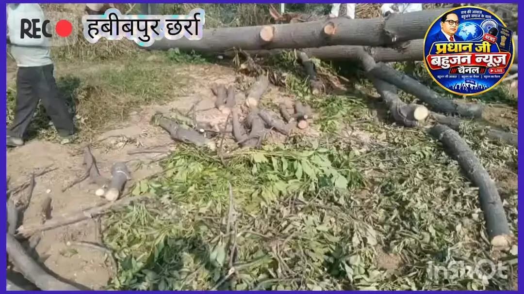 विषय: ग्राम पंचायत के तालाब पर खड़े हरे-भरे पेड़ों की अवैध कटाई के संबंध में।
महोदय, जनपद अलीगढ़ के विकास खंड गंगीरी, था