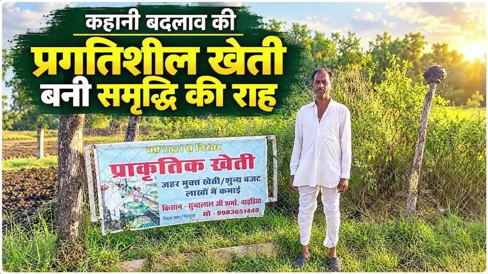 #सेवा_संकल्प_अभियान - #सेवा_की_कहानी
मिश्रित खेती से मालामाल - आगर-मालवा के किसान बने मिसाल!
आगर-मालवा जिले के प्रगतिशील कृषक श्री सुंदरलाल शर्मा ने 1 एकड़ में प्राकृतिक और जैविक खेती से कमाल कर दिया।
एक साथ उगाईं फसलें - न्यू सेलर मौसंबी, पपीता, गेंदा, चिया सीड्स, मोरिंगा, हल्दी, कपास, अरहर और दालें।
✓ उद्यानिकी विभाग से ड्रिप और मल्चिंग पर 50% अनुदान
✓ सब्जी सहायता योजना से 10 हजार की मदद
✓ पानी की बचत + मिट्टी की उर्वरता बरकरार
✓ 2 बीघा से 2 लाख रु. वार्षिक आय
कम जमीन, वैज्ञानिक तरीका, ज्यादा मुनाफा - जिले के किसानों के लिए प्रेरणा!
नवीन कृषि उपज मंडी में बलराम कृषि महोत्सव में मुख्यमंत्री डॉ. मोहन यादव ने भी इनसे संवाद कर सराहना की।
#सेवा_संकल्प_अभियान #SevaSankalpAbhiyan #agarmalwa #आगरमालवा
CM Madhya Pradesh
Jansampark Madhya Pradesh
Department of Horticulture, Madhya Pradesh
Department of Agriculture, Madhya Pradesh
#agarmalwa
#आगरमालवा
