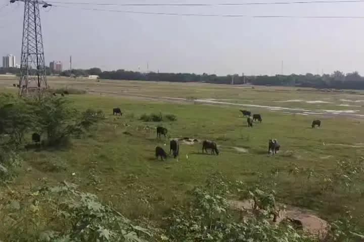करोल बाग: दिल्ली में धरना-प्रदर्शन के लिए तीन नए स्थल निर्धारित, बुराड़ी ग्राउंड पर रहेगी खास नजर