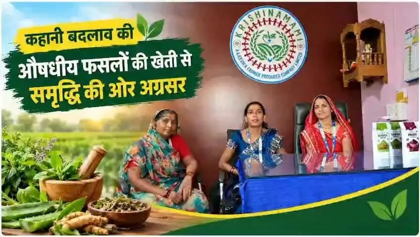 #सफलता_की_कहानी
➡️ जिले के विकासखंड पंधाना के ग्राम जलकुआं में कृषिनमामि आजीविका फार्मर प्रोड्यूसर कंपनी लिमिटेड ग्रामीण महिलाओं के सशक्तिकरण और आत्मनिर्भरता की नई कहानी लिख रही है।
Jansampark Madhya Pradesh
General Administration Department, MP
Panchayat, Rural Development and Social Welfare Department of Madhya Pradesh
#SevaSankalpAbhiyan
#सेवा_संकल्प_अभियान
#sucessstory
#khandwa