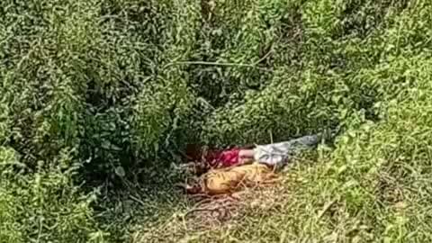 अनूपपुर: पाली के पास दर्दनाक सड़क हादसा, महिला समेत तीन की मौत