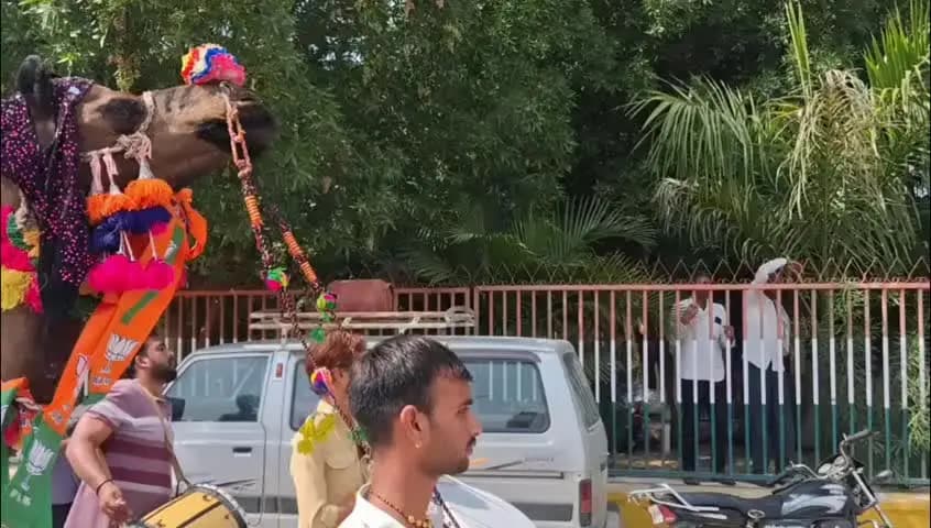 आसीन्द: आसींद में नामांकन दाखिल करने आए प्रत्याशियों पर मधुमक्खियों का हमला, 5 से 7 लोग हुए घायल