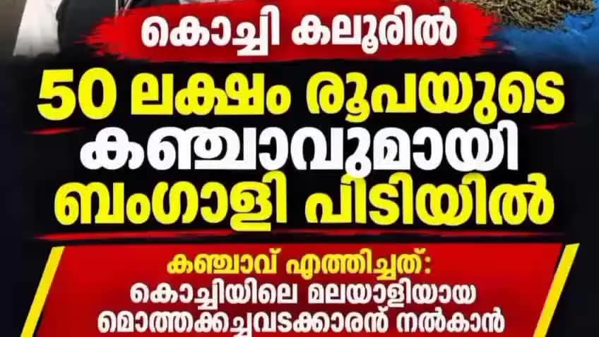 കണയന്നൂർ: കൊച്ചി കലൂരിൽ 50 ലക്ഷം രൂപയുടെ കഞ്ചാവുമായി ബംഗാളി പിടിയിൽ