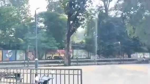 नरसिंहपुर: कलेक्टर बंगले के सामने 80 लाख की लागत से बनकर तैयार हुआ प्लाजा हो रहा दुर्दशा का शिकार