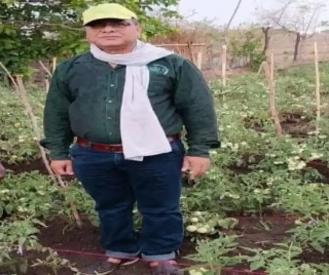 कभी सिंचाई के लिए बारिश पर निर्भर रहने वाले जनपद पंचायत पुष्पराजगढ़ की ग्राम पंचायत बम्हनी के किसान श्री शंकर सिंह मार्को अब खेती के साथ मछली पालन और टमाटर उत्पादन भी कर रहे हैं। प्रधानमंत्री कृषि सिंचाई योजना 2.0 अंतर्गत वाटरशेड परियोजना से उनके खेत में निर्मित तालाब ने खेती को नया आधार दिया है।
परियोजना से पहले श्री शंकर सिंह मुख्य रूप से खरीफ में धान, मक्का और कोदो की खेती करते थे। सिंचाई की पर्याप्त व्यवस्था नहीं होने से रबी की फसल लेना मुश्किल था। वित्तीय वर्ष 2023-24 में उनके खेत के खसरा नंबर 199 में खेत तालाब का निर्माण होने के बाद सिंचाई के लिए पानी उपलब्ध हुआ। अब वे धान के साथ गेहूं और चने की खेती भी कर रहे हैं। तालाब में मछली पालन शुरू करने से उन्हें आय का एक अतिरिक्त साधन भी मिला है।
खेती को आगे बढ़ाने के लिए श्री शंकर सिंह ने कृषक उत्पादक संगठन (एफपीओ) के माध्यम से तकनीकी पद्धति से टमाटर उत्पादन की जानकारी प्राप्त की। इसके बाद वित्तीय वर्ष 2026-27 में आधा एकड़ भूमि पर टमाटर की खेती की। इसमें लगभग 15 हजार रुपये की लागत आई और विक्रय से लागत निकालने के बाद करीब 60 हजार रुपये का मुनाफा अर्जित हुआ।
किसान श्री शंकर सिंह मार्को ने प्रधानमंत्री श्री नरेन्द्र मोदी जी एवं शासन के प्रति आभार व्यक्त करते हुए कहा कि वाटरशेड परियोजना से खेत तालाब के माध्यम से सिंचाई की सुविधा मिली है। इससे खेती का दायरा बढ़ाने, मछली पालन अपनाने और टमाटर की खेती से अतिरिक्त आय अर्जित करने का अवसर मिला है। अब वे पहले की तुलना में अधिक फसलें ले पा रहे हैं और परिवार की जरूरतों को पूरा करने में भी बेहतर स्थिति में हैं।
#anuppur