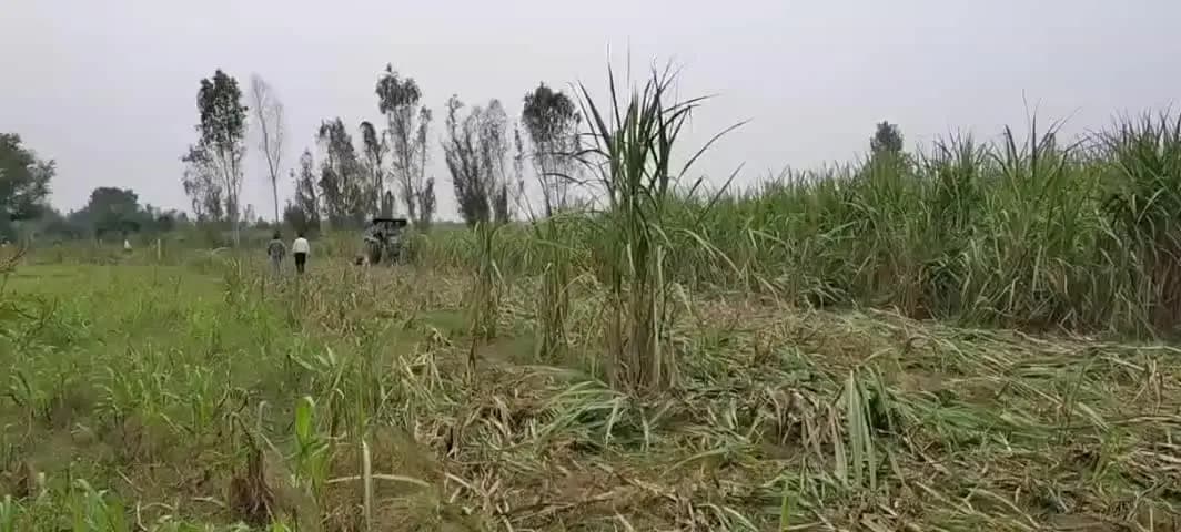 बीसलपुर: देवाह नदी की जमीन पर प्रशासन ने ट्रैक्टर कार्रवाई की, 15 बीघा गन्ने की फसल जुताई