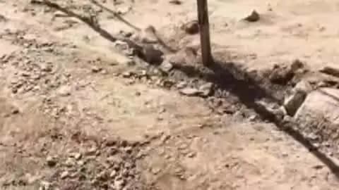 मोहनगढ़: ग्राम पंचायत पंचमपुर में भूमिगत नाली निर्माण में भारी भ्रष्टाचार, घटिया कार्य