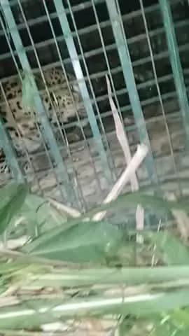 Moradabad 'thakurdwra ma gram Alangirpur ma tandua pakra gya ha sam 7.bja