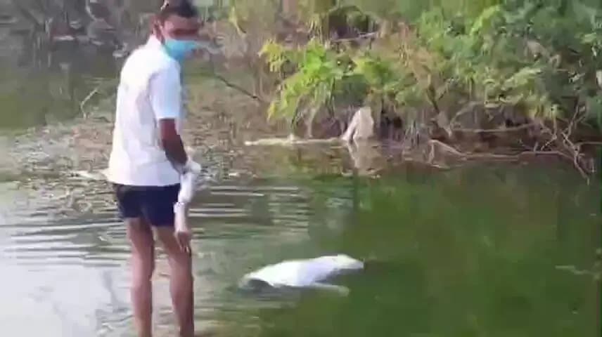 महोबा: कबरई के चंद्रावल रोड पर बंद खदान में मिला 26 वर्षीय युवक का शव, वह गुरुवार से था लापता