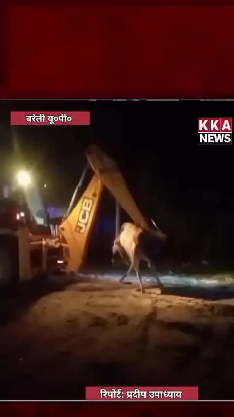 ब्रेकिंग न्यूज पत्रकार प्रदीप उपाध्याय