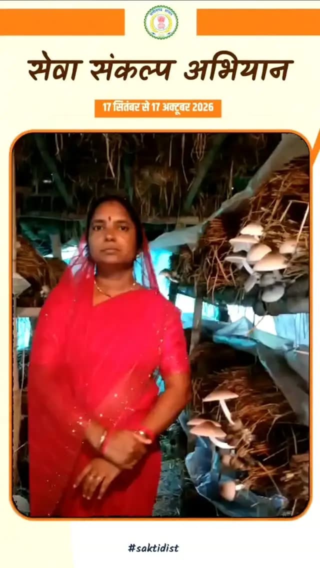 बिहान योजना से जुड़कर ईश्वरी साहू बनीं आत्मनिर्भर, मशरूम व्यवसाय से बदली आर्थिक स्थिति
जय मां शीतला स्व-सहायता समूह से जुड़कर प्राप्त किया प्रशिक्षण
आर्थिक सशक्तिकरण की राह आसान होने पर मुख्यमंत्री श्री विष्णुदेव साय के प्रति जताया आभार
#सेवा_की_कहानी
#Saktidist
