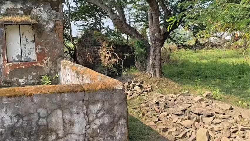 दमोह: 8 हजार के कर्ज में डूबे 17 वर्षीय किशोर ने कर दी थी 75 साल की पार्वती लोधी की हत्या, चांदी के जेवर और नकदी बरामद, एसपी