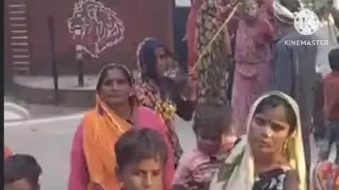 ललितपुर: भैलोनी सूबा निवासी दो दर्जन से अधिक महिलाओं ने सोलर पावर प्लांट भूमि अधिग्रहण मामले में गंभीर धोखाधड़ी के आरोप लगाए
