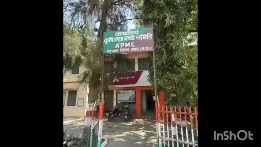 बदनावर: बदनावर मंडी में लगातार चार दिन नीलामी बंद, चार दिन बाद फिर शुरू होगी खरीदी-बिक्री।