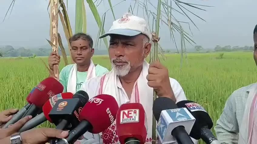 মৰিগাঁও: ঔজাৰীত সফল কৃষক তথা জীৱন জেউতি কৃষক সংঘৰ উদ্যোগত কাতি বিহু পালন