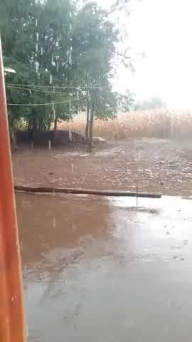 परासिया के ग्राम झुर्रे मैं आज झमाझम बारिश हुई! साथ ही तेज हवा का प्रकोप भी देखने को मिला!