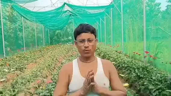 সাব্রুম: ফুল চাষ করে লাভের মুখ দেখছেন ছোটখিল রানীরবাজারের কৃষক মিঠুন নাথ