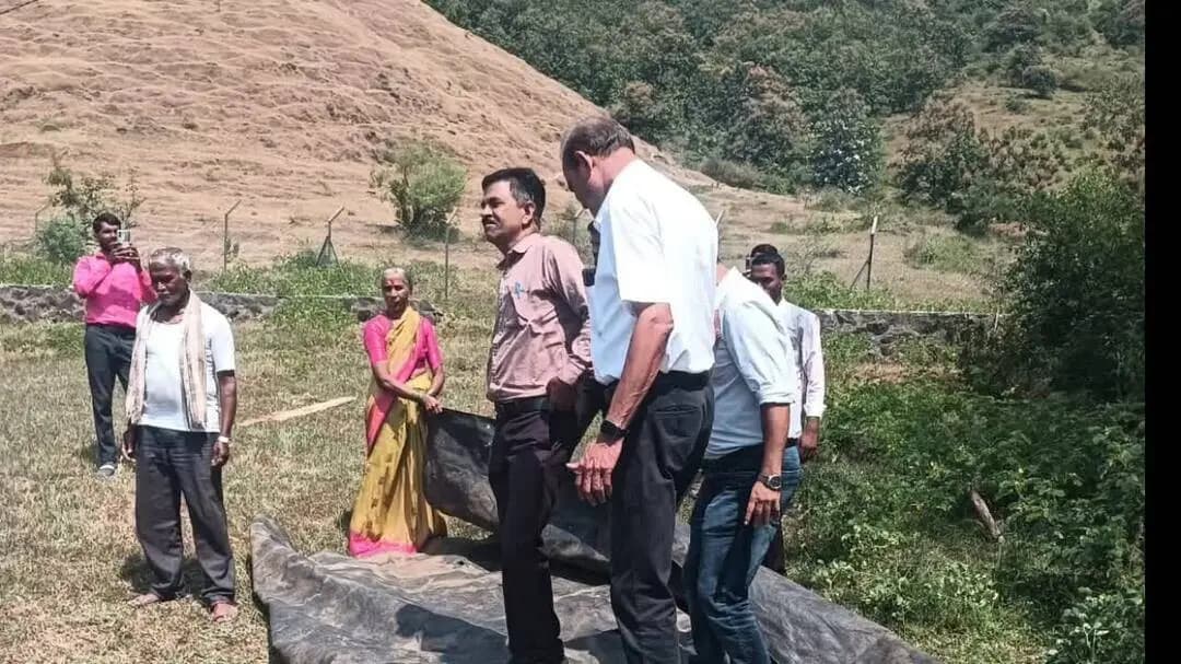 सातारा: दुष्काळात जनावरांना मिळणार सकस चारा! युरिया प्रक्रियेद्वारे कुटाराची पौष्टिकता वाढविण्याचे पशुसंवर्धन विभागाचे आवाहन