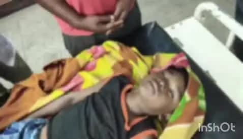 बरियातु: डाढा गांव में मधुमक्खियों के हमले में छह वर्षीय बच्चे की मौत, चार अन्य घायल