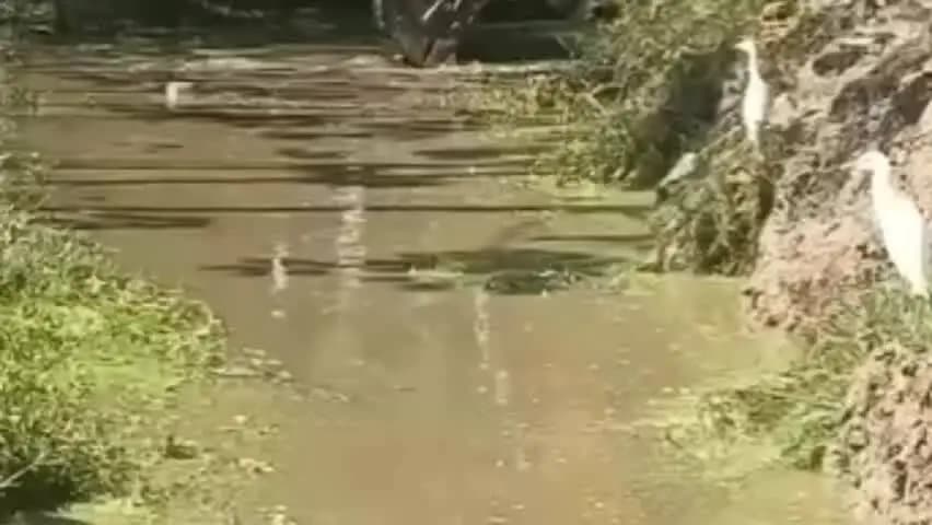 जगाधरी: बरौली माजरा में खेतों से पानी की निकासी पर गांव वालों और किसानों ने प्रशासन का किया धन्यवाद