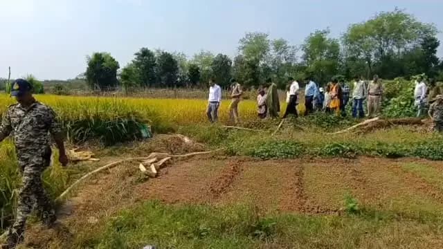 🔹एक एकड़ में धान, 25 डिसमिल में सब्जियां, खेती से मुनाफे की नई राह दिखा रहे वृंदावन पटेल।
🔹फसल विविधीकरण और गोबर की जैविक खाद से घटाई लागत, बढ़ाई आमदनी।
@JansamparkMP
@CMMadhyaPradesh
Agriculture Department, MP
@Aidalsinghkbjp
#katni #कटनी