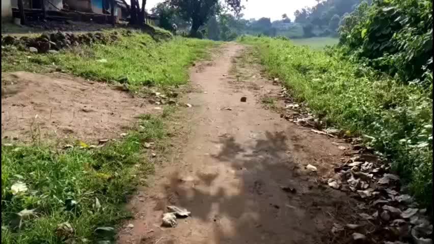 तामिया: हर्राधाना में सरपंच ने कागजों पर सड़क दिखाकर सीमेंट-सरिये से बनाया निजी साम्राज्य, जांच पर टिकी निगाहें