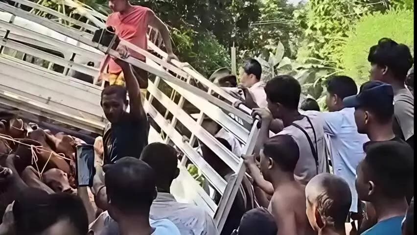 বালিজানা: আৰক্ষীৰ ভয়ত পলায়ন কৰিবলৈ ধৰোতে নিয়ন্ত্ৰণ হেৰুৱাই দুৰ্ঘটনাত পতিত হয় এখন চোৰাং গৰু গাড়ী