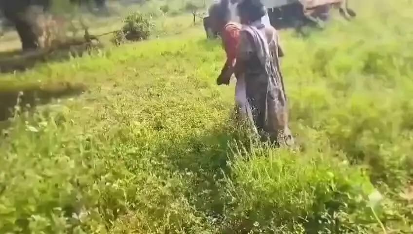 नोआमुंडी: नोवामुंडी में पत्थर व अन्य वस्तुओं से हमला कर एक व्यक्ति की हत्या, इलाके में सनसनी