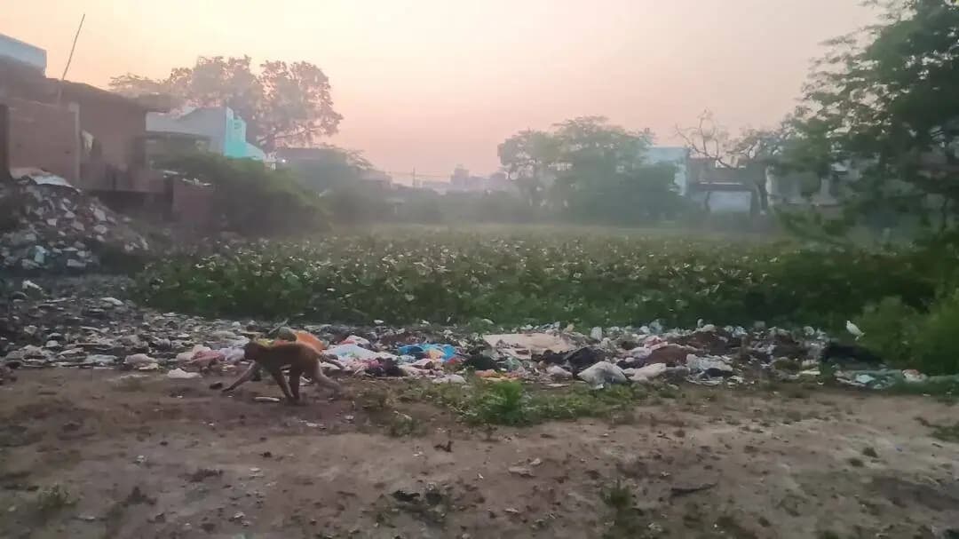 बिधूना, नगर पंचायत के कछपुरा मोहल्ला की तलैया का सौंदर्यीकरण कराए जाने की मांग।