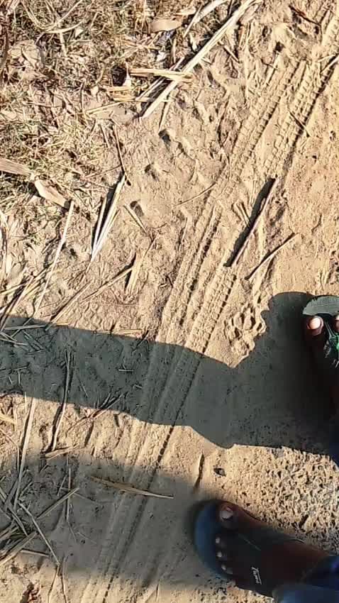 ghatnasthal pure Bhola pitambarpur kanauli bhadokhar Raebareli truck khada tha driver Ne ganja Piya 15 foot ki duri per