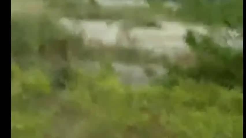 झांसी: कार का तांडव, CO और इंस्पेक्टर की गाड़ी में टक्कर, पुलिस ने बाइक को उड़ाया; एक घंटे तक चला हाई वोल्टेज ड्रामा, 5 पकड़े