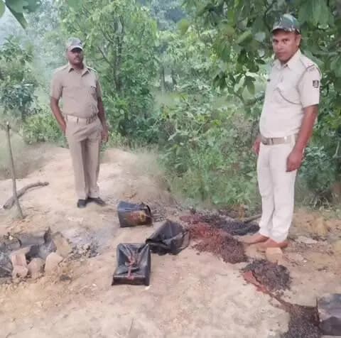 ସୁନ୍ଦରଗଡ: ମହୁଲ ପୋଚ୍ ଉପରେ ଧରୁଆଡିହି ପୋଲିସର ଚଢ଼ାଉ,ପ୍ରାୟ ୫ କ୍ୱିଣ୍ଟାଲ ମହୁଲ ପୋଚ୍ ନଷ୍ଟ